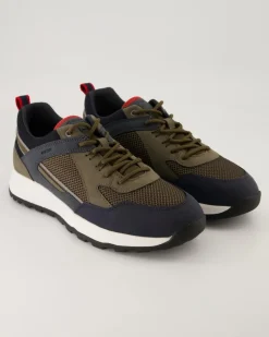 TERRESTRE Sneaker in Grün