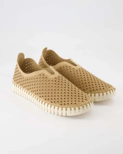 Tulip3275 Slipper in Braun