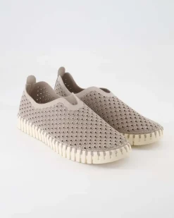 Tulip3275 Slipper in Grau