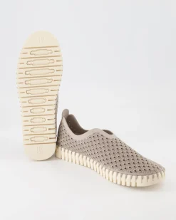 Tulip3275 Slipper in Grau