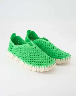 Tulip3275 Slipper in Grün