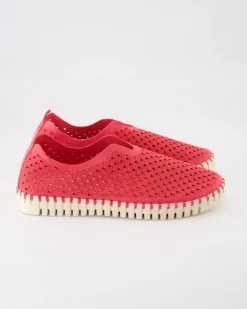 Tulip3275 Slipper in Pink