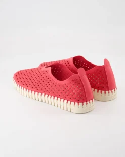Tulip3275 Slipper in Pink