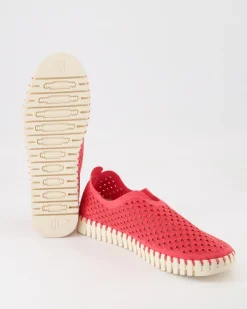 Tulip3275 Slipper in Pink