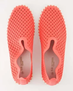 TULIP3275 Slipper in Rosa