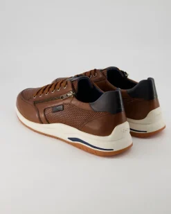 Turibio-710-J Sneaker in Braun