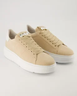 Turn Schnürschuhe in Beige