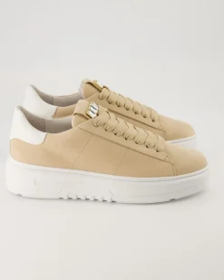 Turn Schnürschuhe in Beige