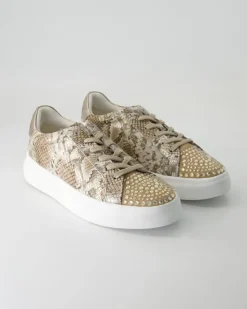 V250217-401 Sneaker in Braun