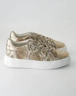 V250217-401 Sneaker in Braun