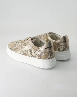 V250217-401 Sneaker in Braun