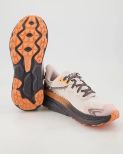 W Challenger Atr 7 GTX Sportschuhe in Rosa